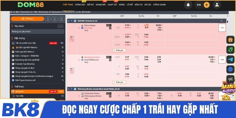 Đọc ngay cược chấp 1 trái hay gặp nhất