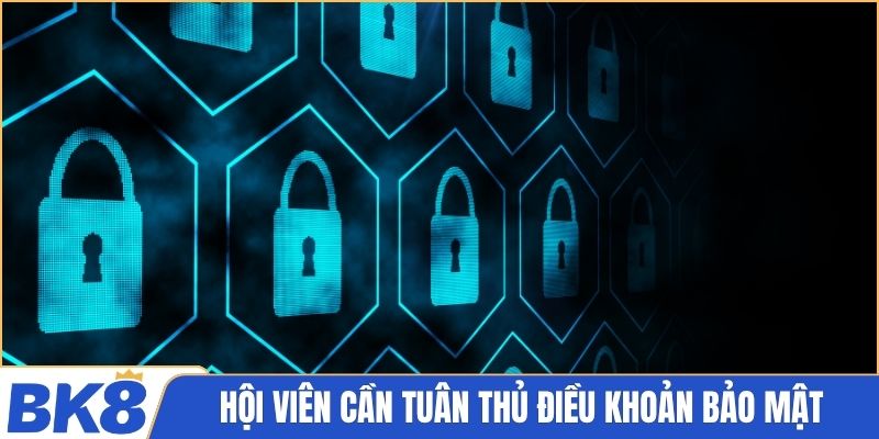 Hội viên cần tuân thủ điều khoản bảo mật