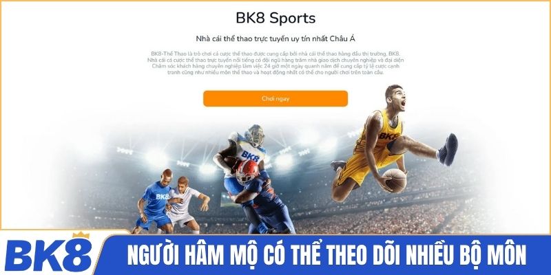 Người hâm mộ có thể theo dõi nhiều bộ môn mỗi ngày