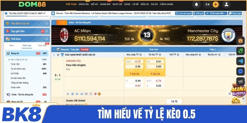 Tìm hiểu về tỷ lệ kèo 0.5